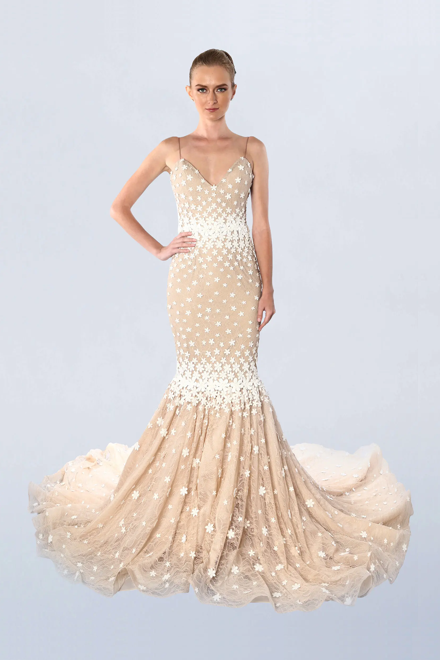 Beige lace with off white floral applique mermaid gown